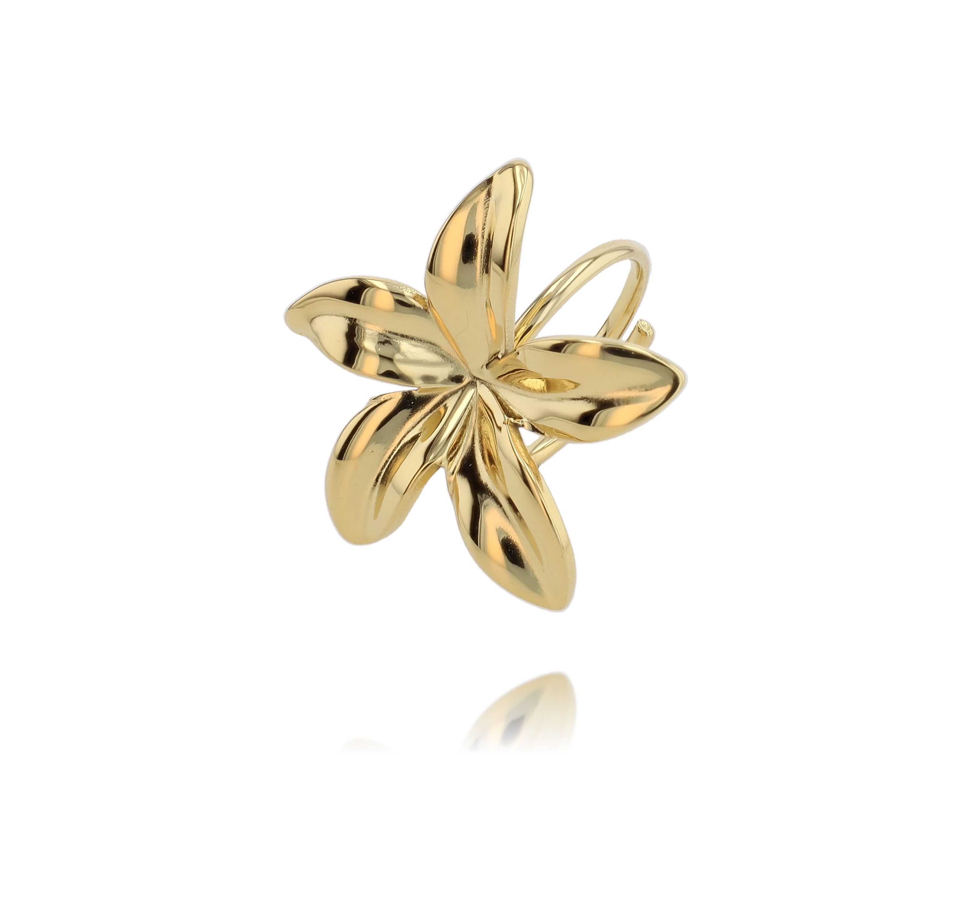 Blossom