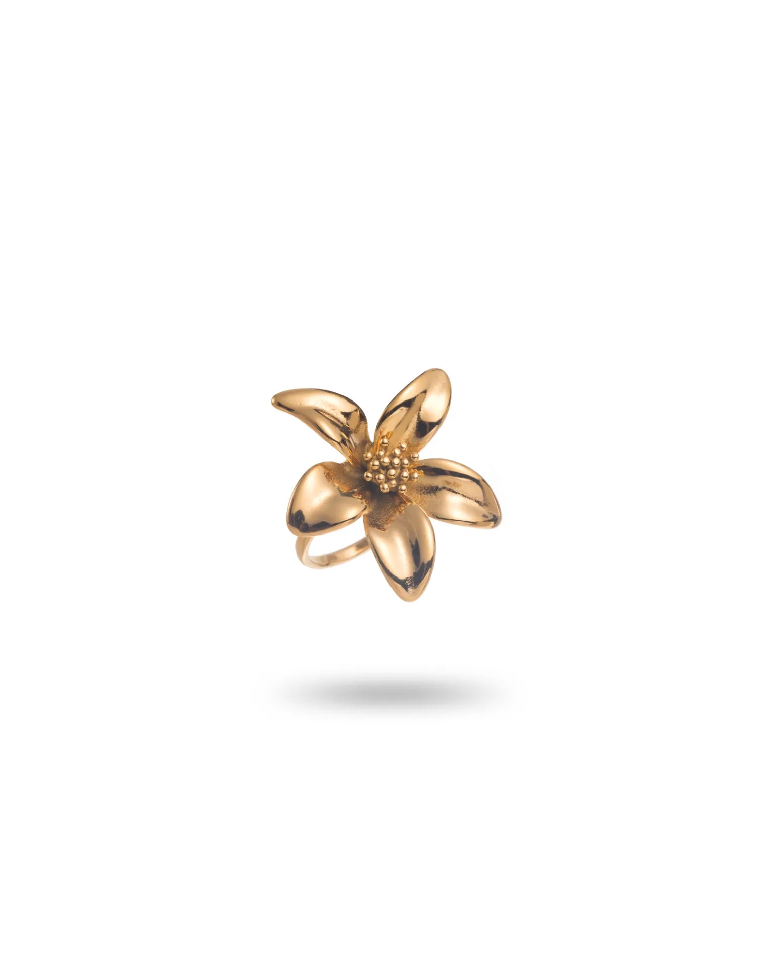 Bague Ushuaia